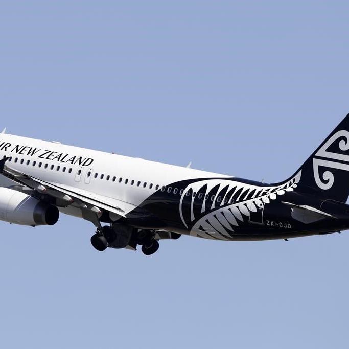 Air New Zealand scraps its 2030 carbon emissions target, saying solutions are costly and scarce